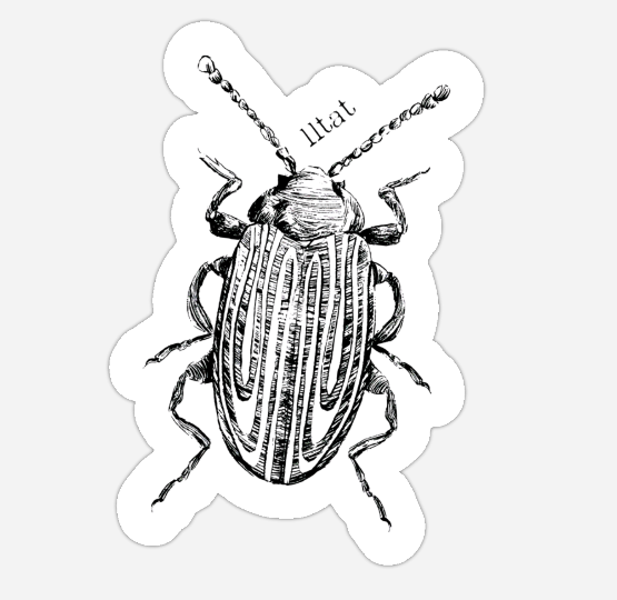 Poetry Stickers (Pre-Order)